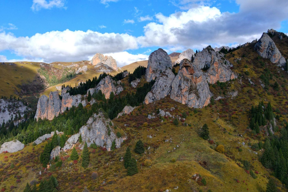 Zecha Stone Forest